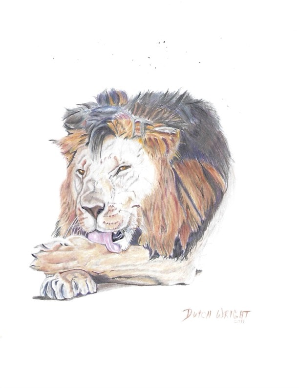 Hand-drawn colored lion illustration